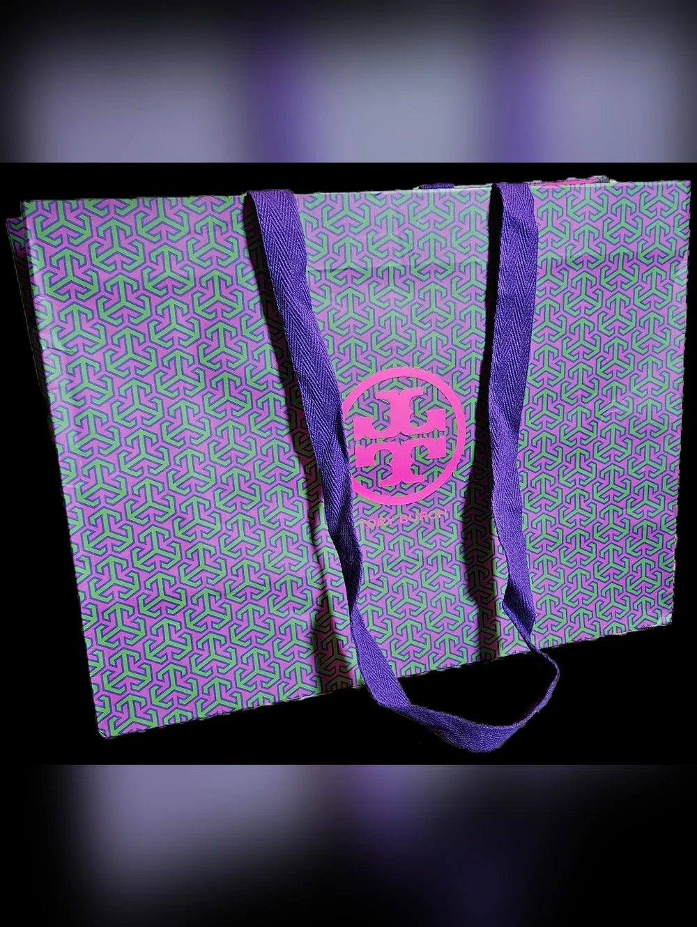 RARE Tory Burch XL Shopping Gift Bag Purple Green Pink Boutique Packaging Tote
